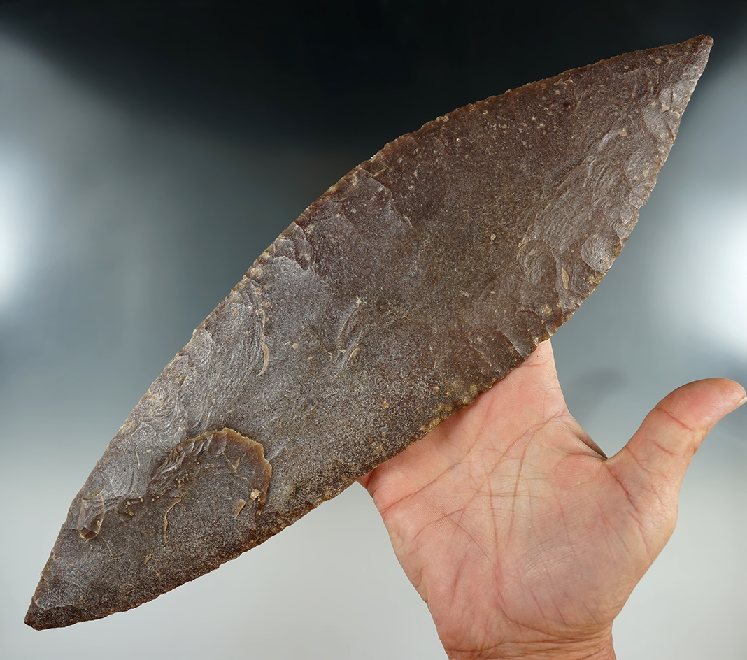 Large 13 7/8" Mayan Blade made from brown Chert, found in Guatemala. Ex. Kevin Pipes. COA.