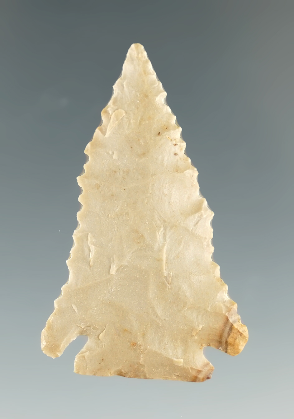 Nice style on this 1 3/4" Pinetree made from Hornstone, found in Lyon Co., Kentucky. COA.