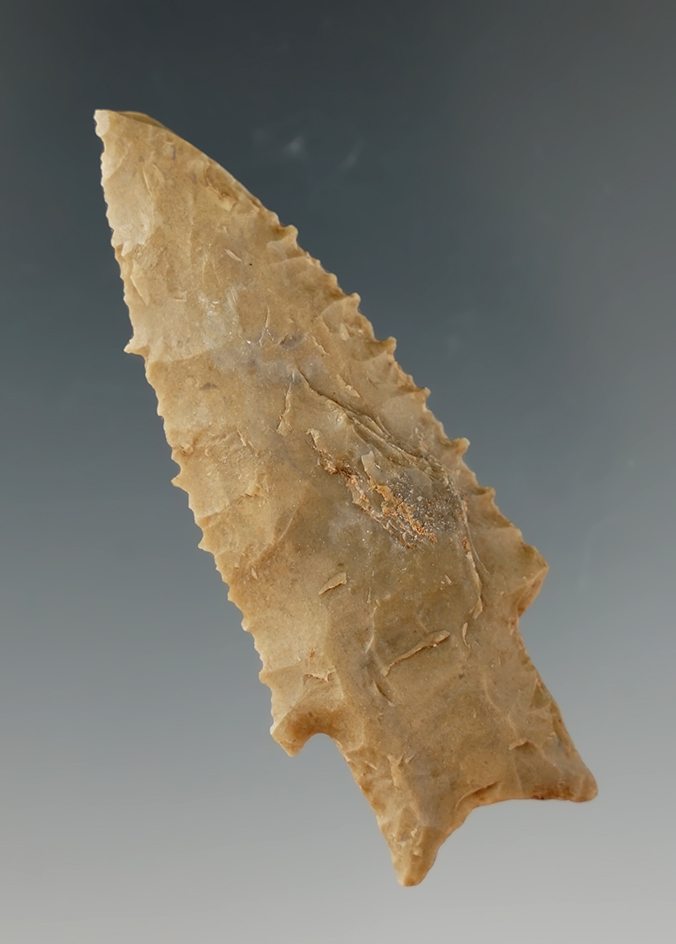 Wicked serrations on this 2 1/2" Darl Stemmed found in Texas.