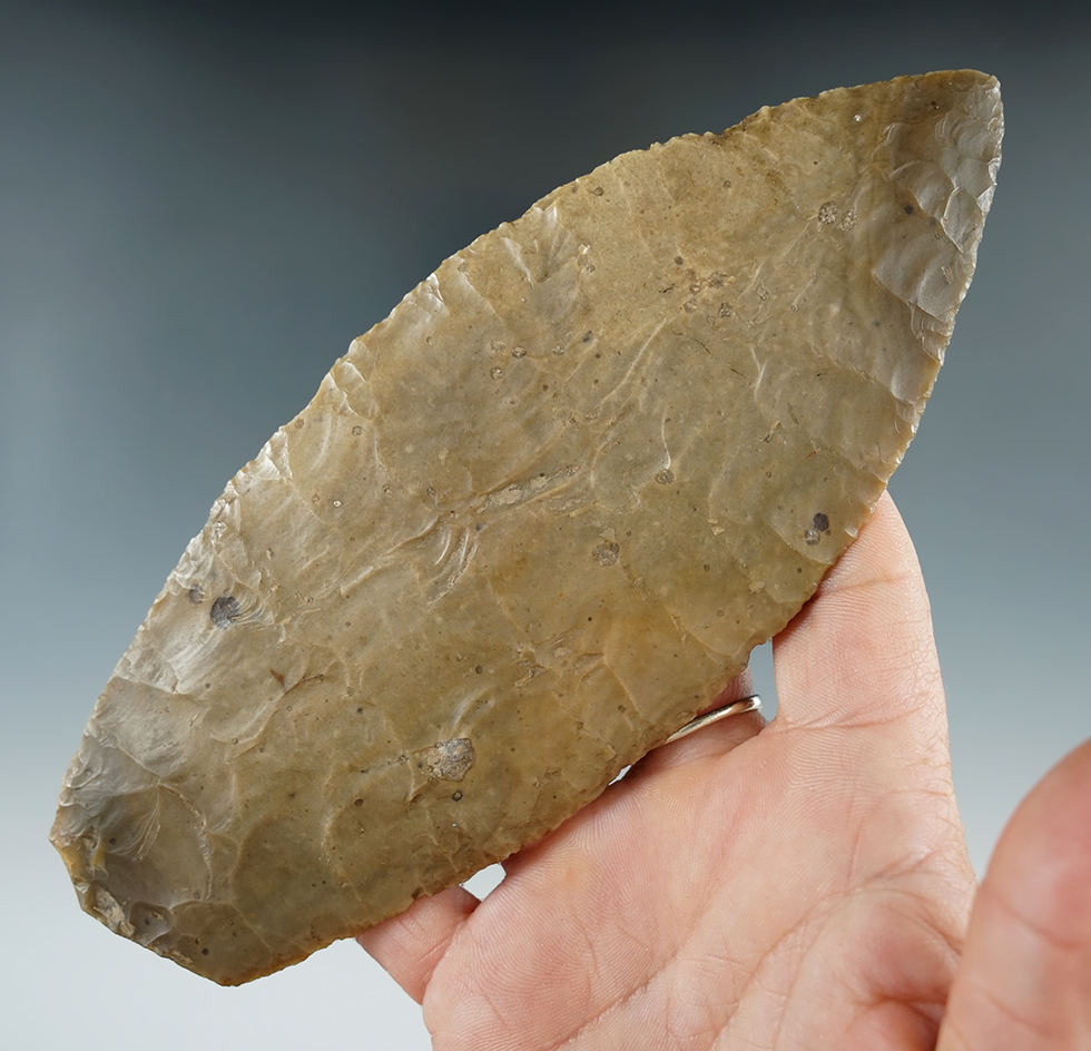 Thin and exceptionally well flaked 6 1/2" Mayan Blade found in Belize.
