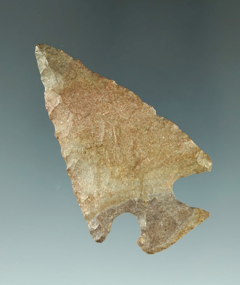 2 3/8" Motley point- Kentucky. Deaccessioned by the Museum of Native American history.