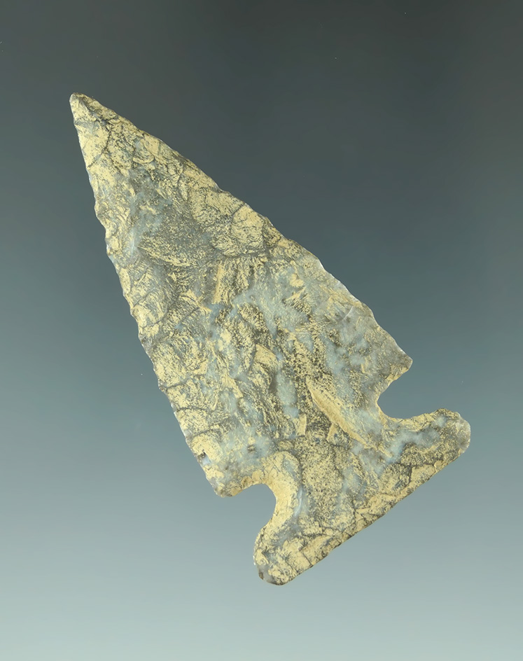2 7/16" Sidenotch Dart Point found in Kentucky made from Fort Payne chert.  Bennett COA.