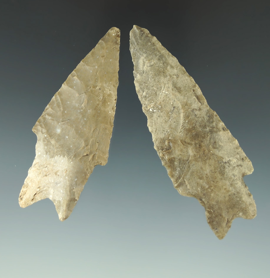 Pair of Texas arrowheads, largest is 3 1/8".