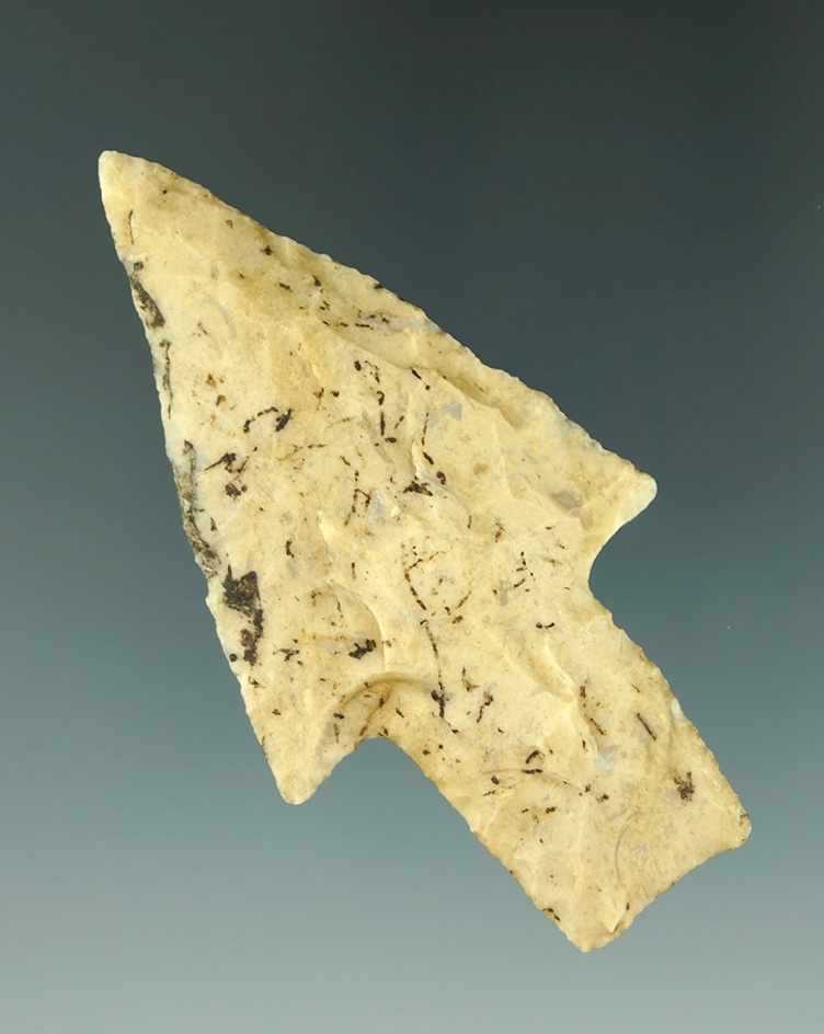 2 11/16" Bulverde point that is nicely patinated - Texas. Museum Deaccession! Ex. Culpepper