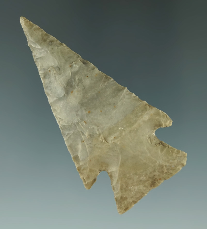 Museum Deaccession! 2 3/4" Castro point that is thin and nicely flaked found in Texas.