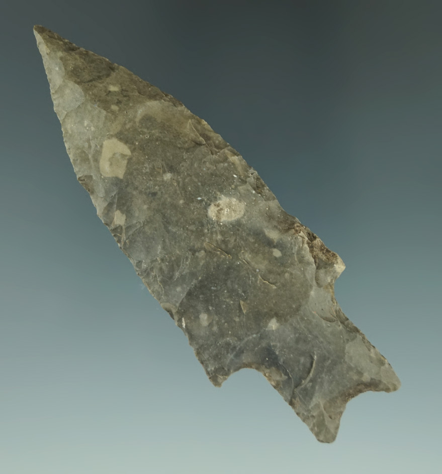 Museum Deaccession! 3 1/2" nicely styled Pedernales point found in Texas.