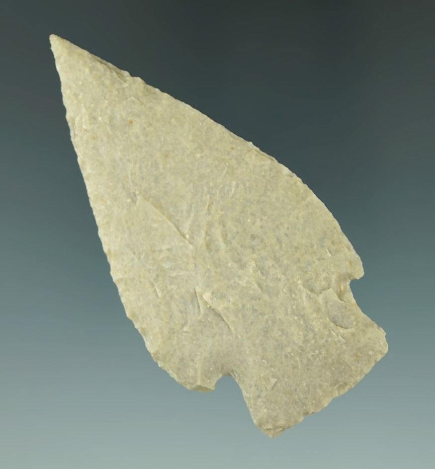 Museum Deaccession! 2 15/16" Bulverde point that is thin and very nicely flaked - Texas.