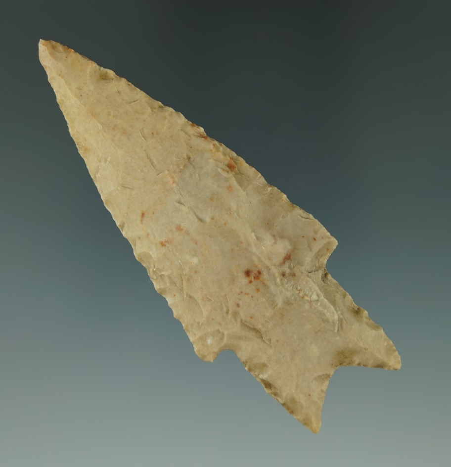 Museum Deaccession! 3 1/4" Pedernales point found in Texas.