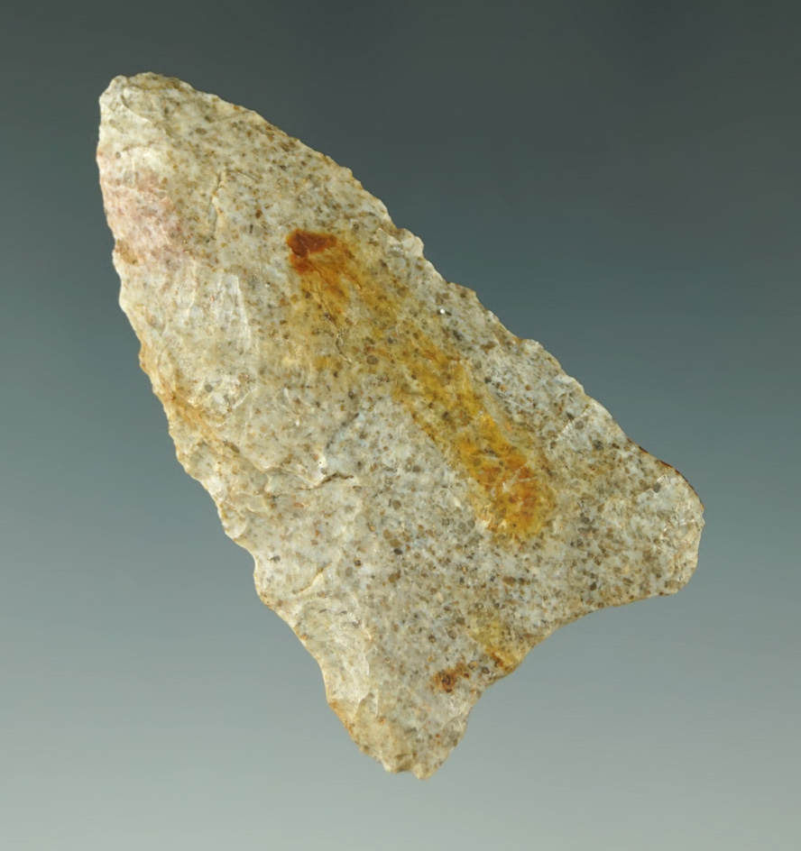 2 1/8" Fluted Paleo Point with a nicely ground base found in central Kentucky.