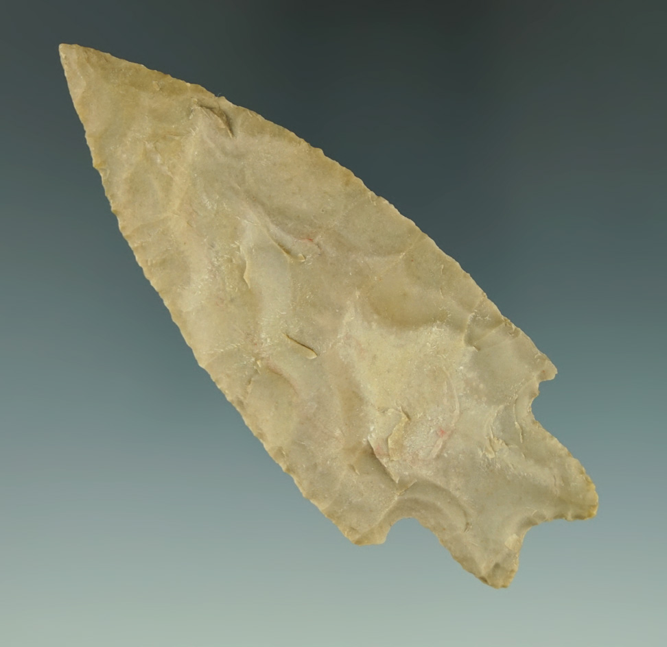 Museum Deaccession! 3 7/8" thin and well flaked Pedernales point found in Texas.