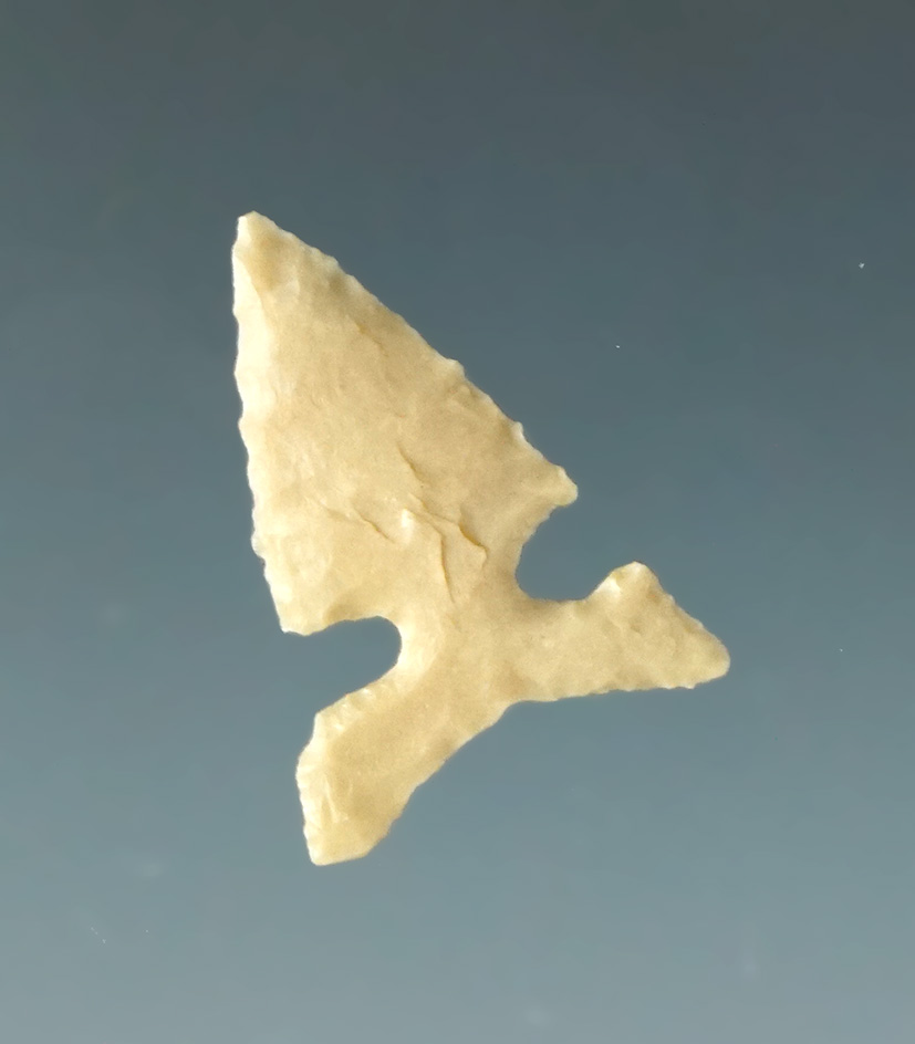 Delicately made 3/4" Toyah point found by M. D. Lisbon in the Panhandle area of Texas.