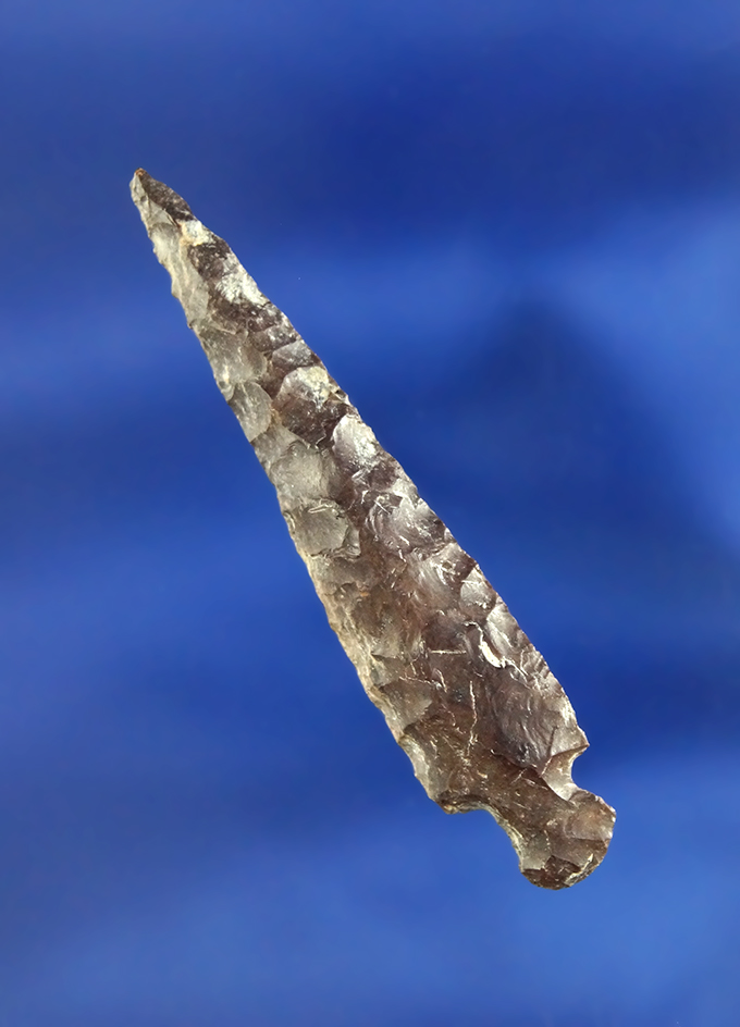 2 1/8" Rose Springs Stemmed found near the Columbia River.