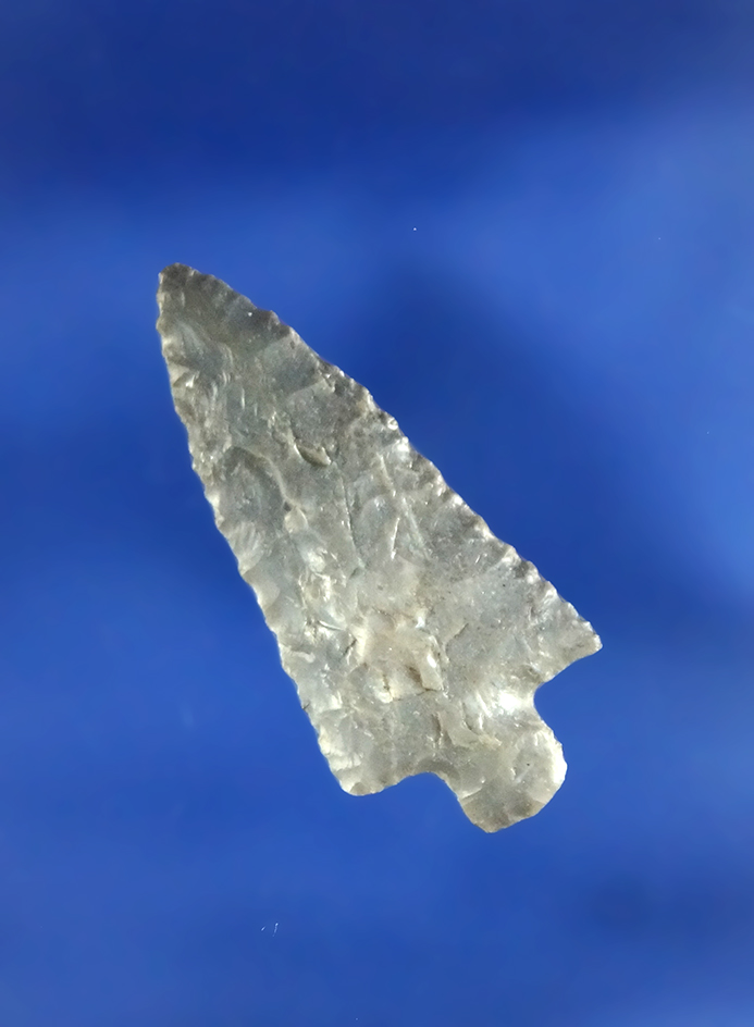 1 3/16" Wallula with very nice flaking found in Oregon.