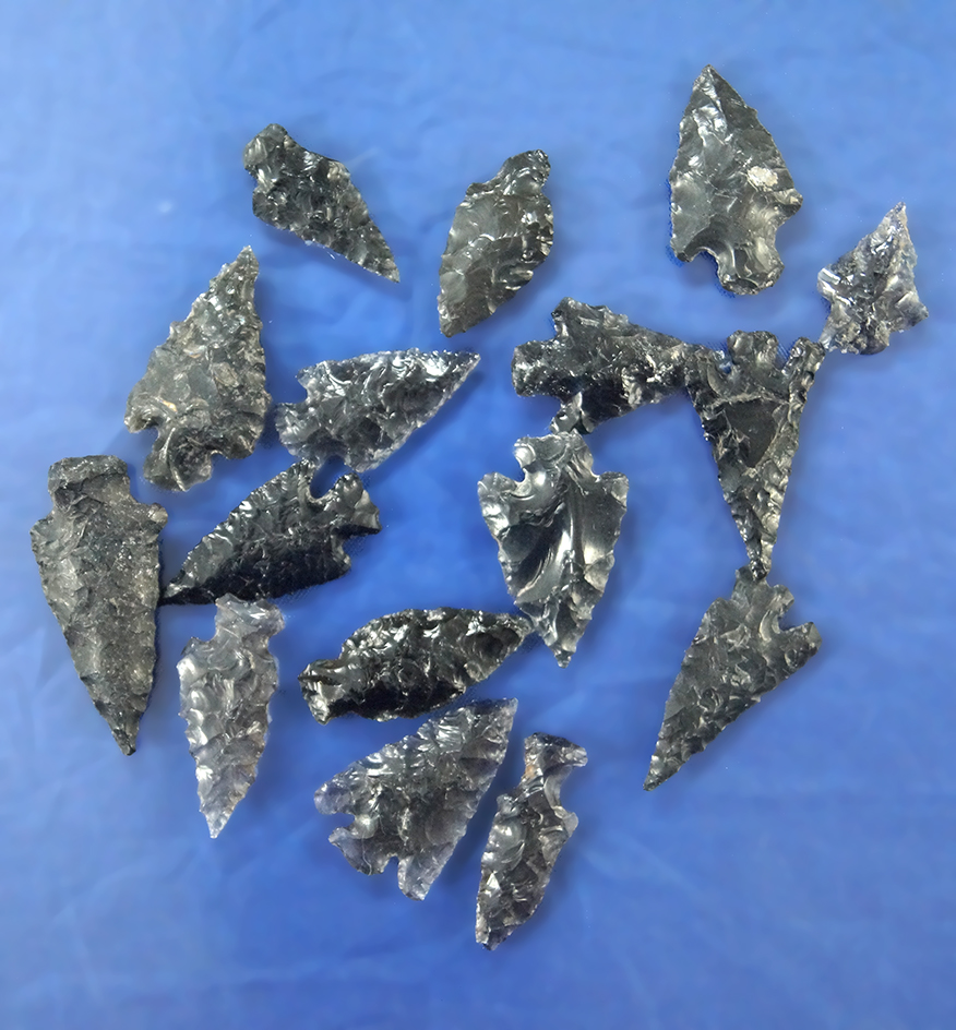 Set of 15 assorted Oregon Arrowheads, largest is 1 3/16".