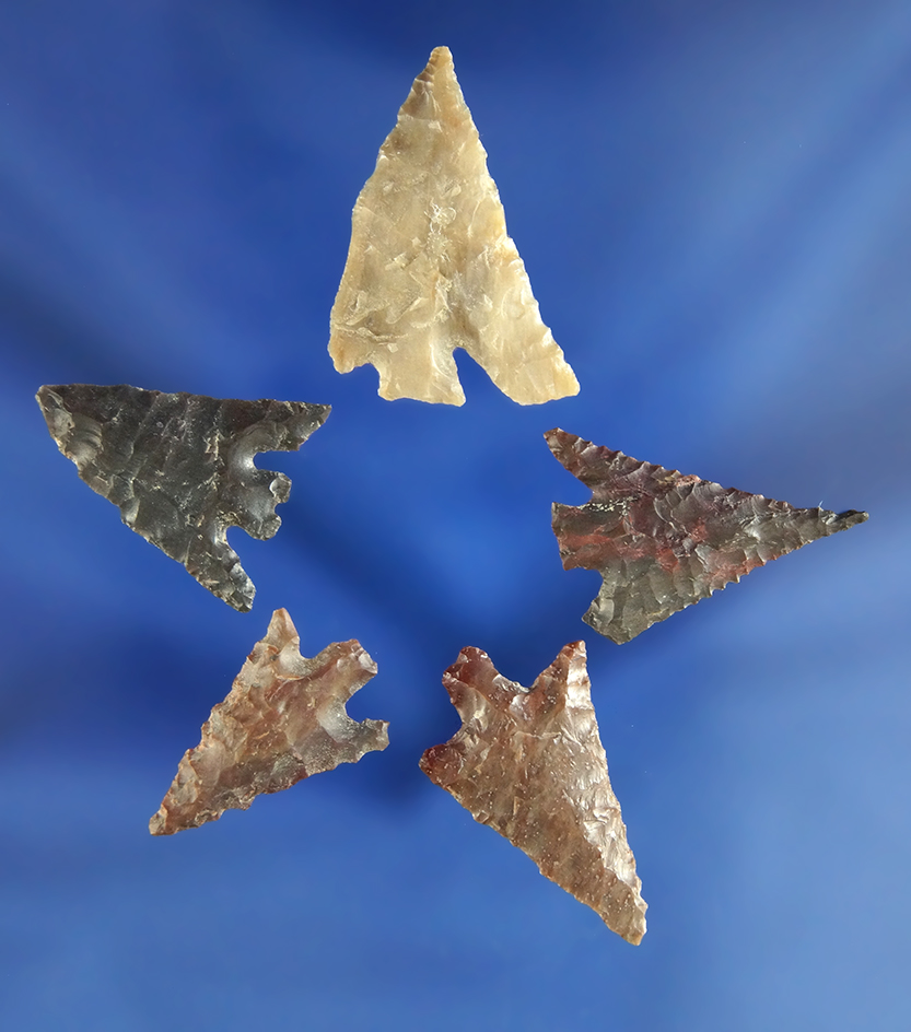 Group of five Columbia Plateau points found near the Columbia River. Ex. Wiley collection.