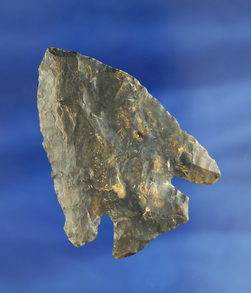 2 1/2" Coshocton Flint Thebes found in Fairfield Co., Ohio.