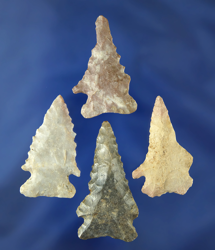 Set of four Pine Tree points found in southern Ohio, largest is 1 13/16".