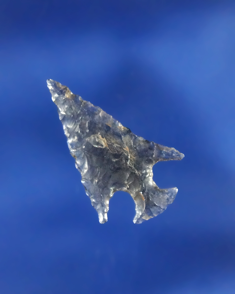 15/16" delicately flaked Rose Springs made from highly translucent quality Obsidian found in Oregon.