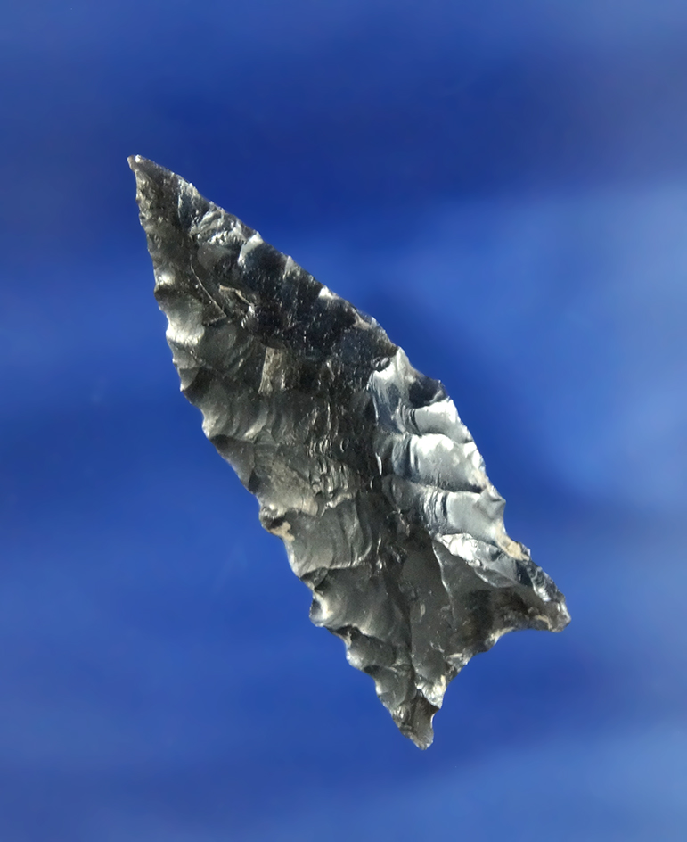 1 15/16" Obsidian Humboldt found in Oregon. Comes with a Bennett COA.