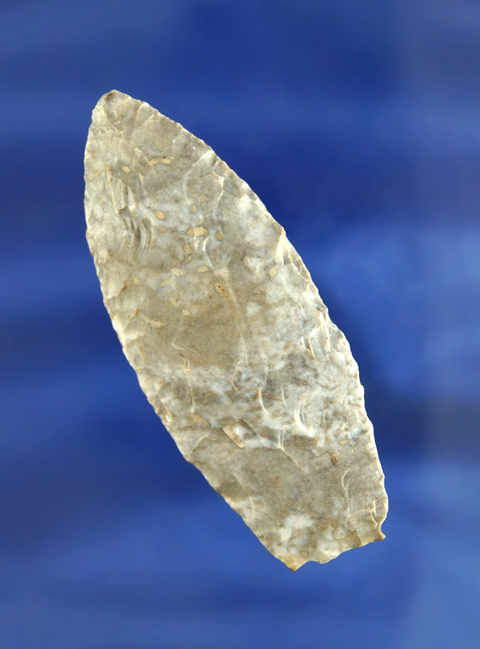 2 3/4" Fort Payne chert Agate Basin found in Kentucky.