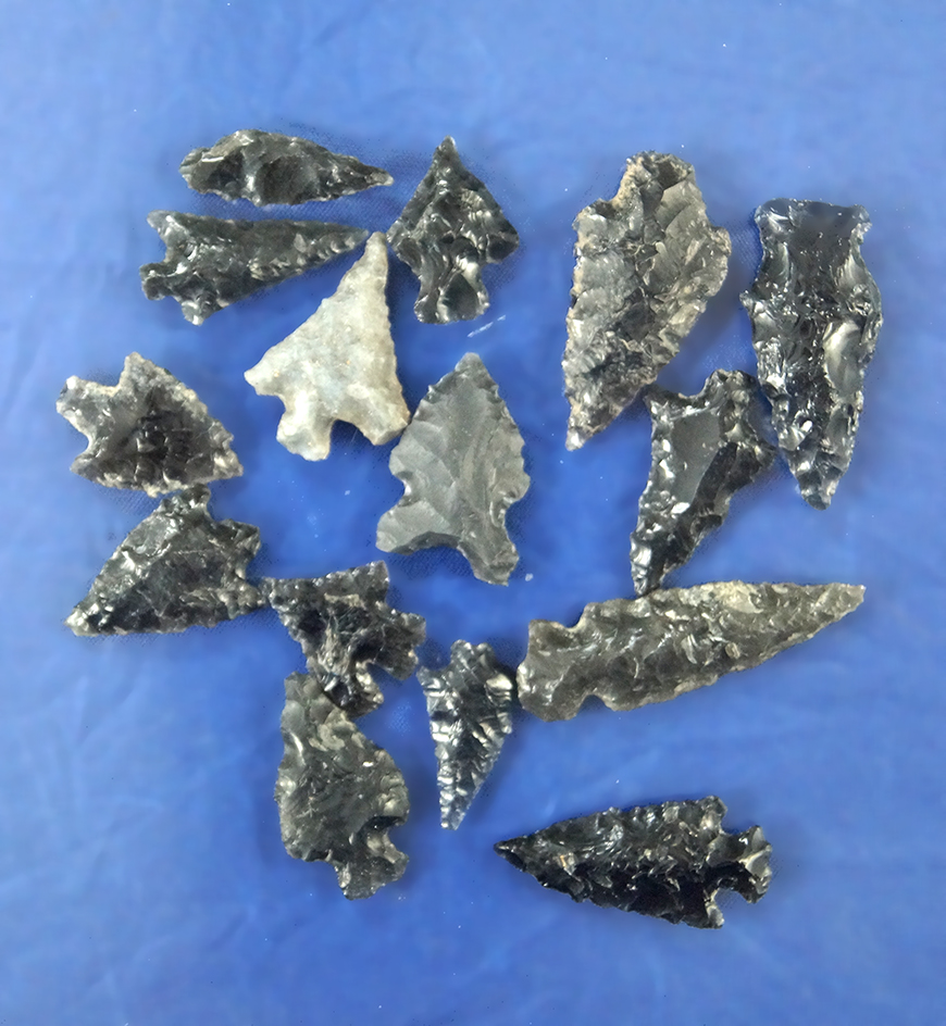 Set of 15 assorted Oregon Arrowheads, largest is 1 3/8".
