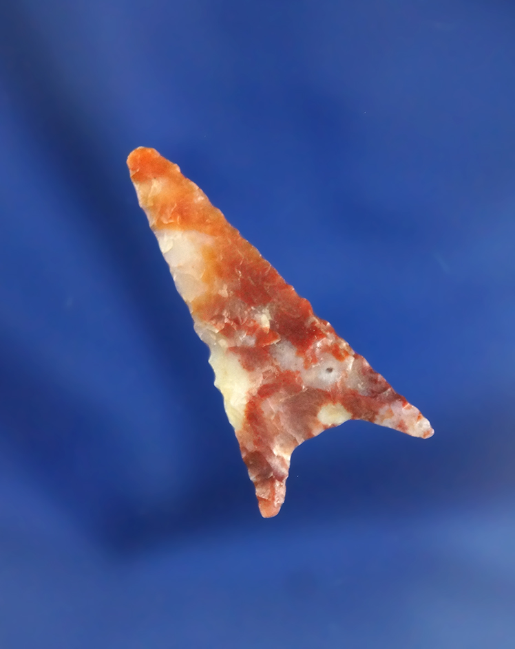 1 5/16" Gunther triangular found in Oregon made from beautiful semi translucent Agate.