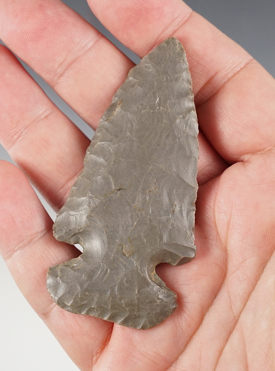 3 1/16" Wide Base Dovetail made from Hornstone, found in Ohio. Ex. Elleman Collection. 