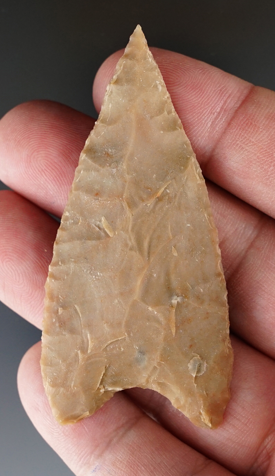 2 13/16" Kinney Knife with excellent flaking and style found in Bandera Co., Texas. Bill  Arnold COA