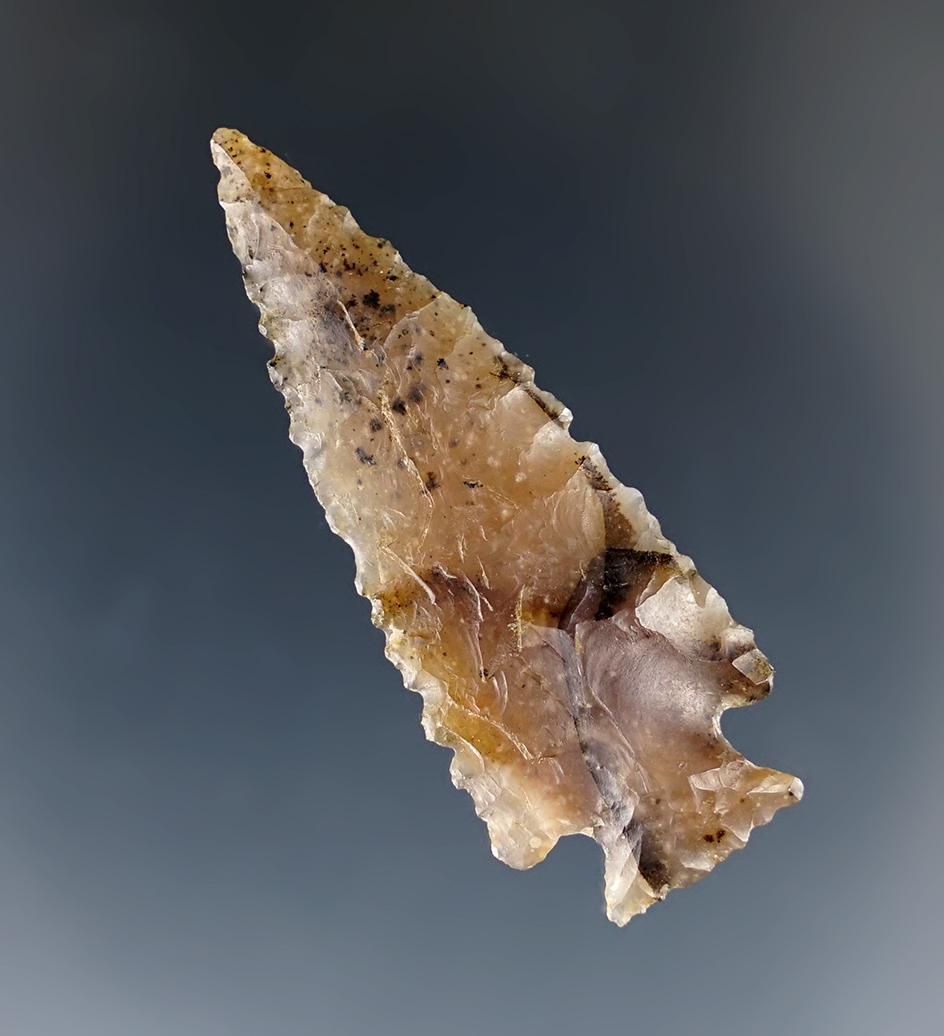 1 13/16" attractive Snake River Dart Point with beautiful serrations - Columbia River, Washington.