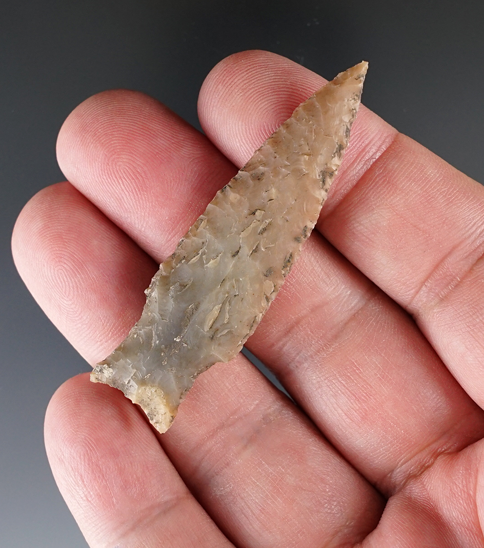 2 5/16" Darl Point with very nice flaking and style, found in Williamson Co., Texas. Roger COA.