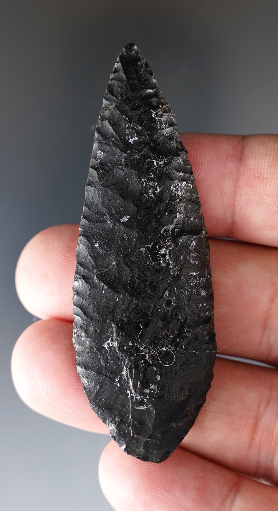 Exceptional flaking and style on this 2 15/16" Cascade found in Lake Co., Oregon.