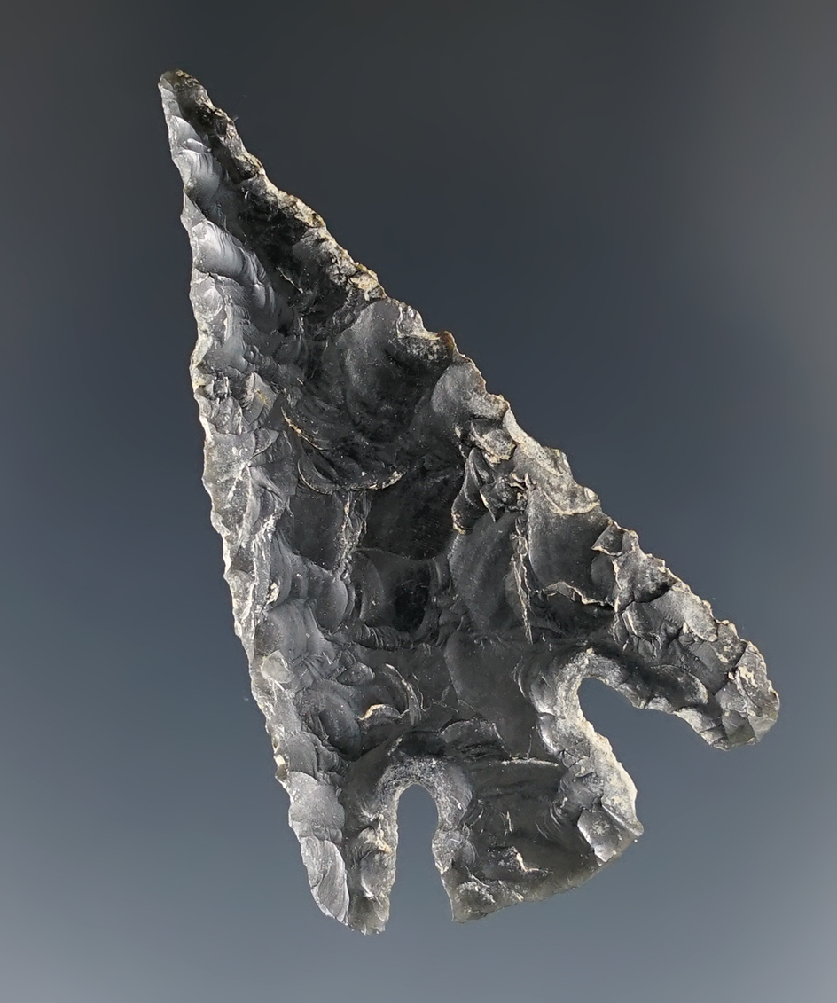 Classic style 1 13/16" Deep Notched Elko made from Obsidian found in Warner Valley, Oregon.