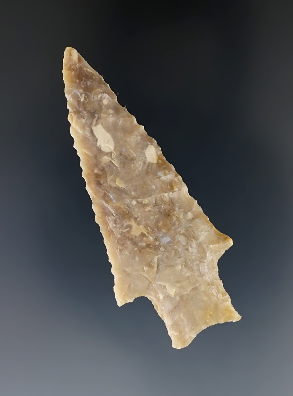 2 3/8" well styled Darl Point made from Edwards Chert found in Central Texas. Perino COA.