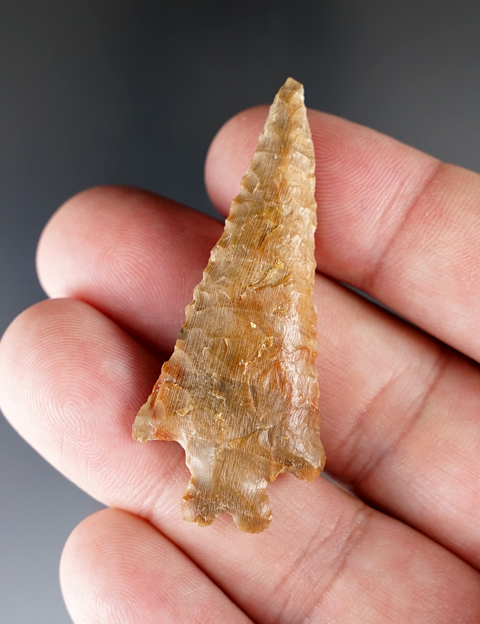 2 3/16" Gatecliff Split Stem made from silicified wood. Found near the Dalles, Oregon.