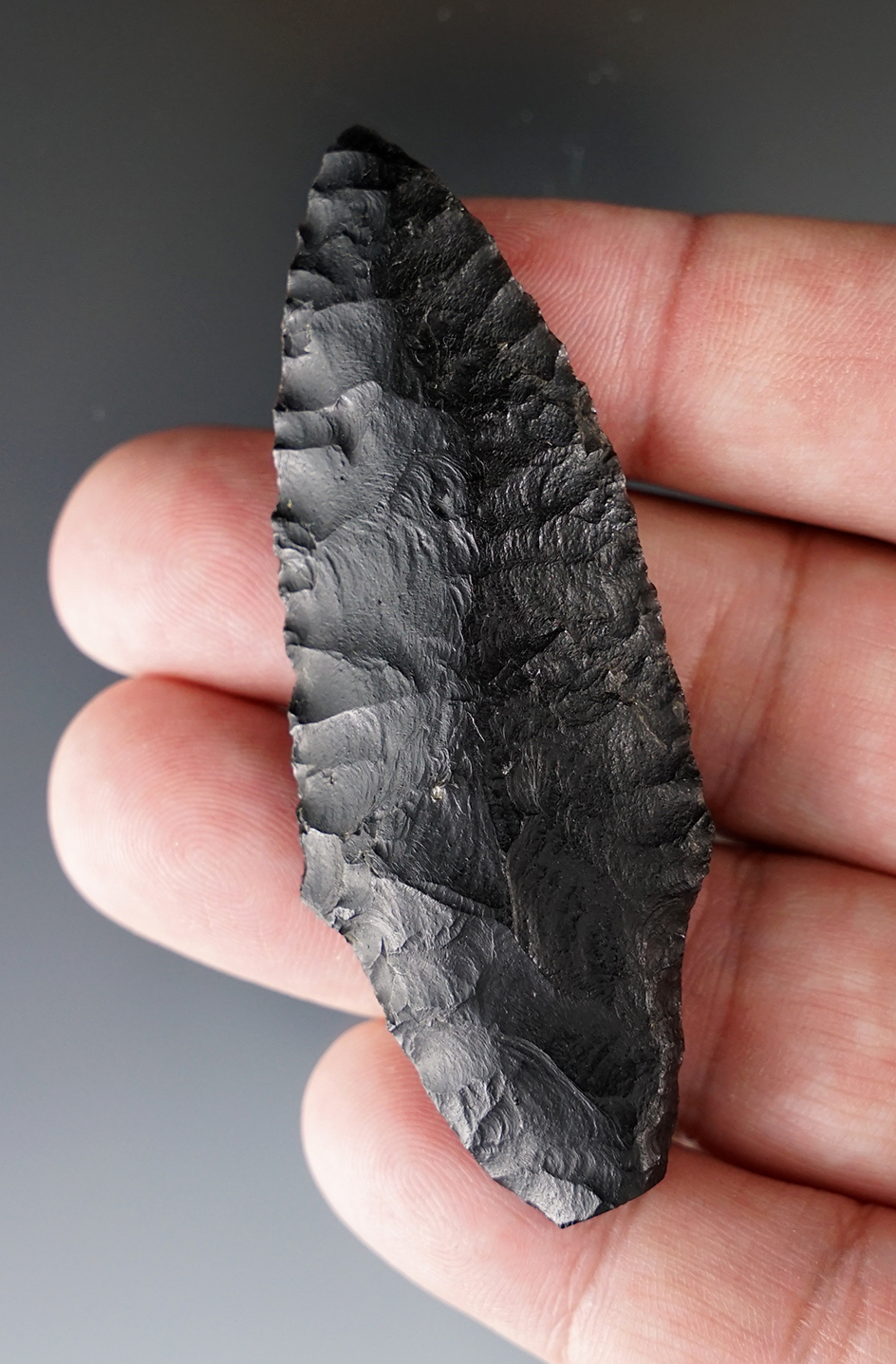 Excellent flaking and style on this 2 15/16" Parman with a heavily ground stem area. Lake County OR.