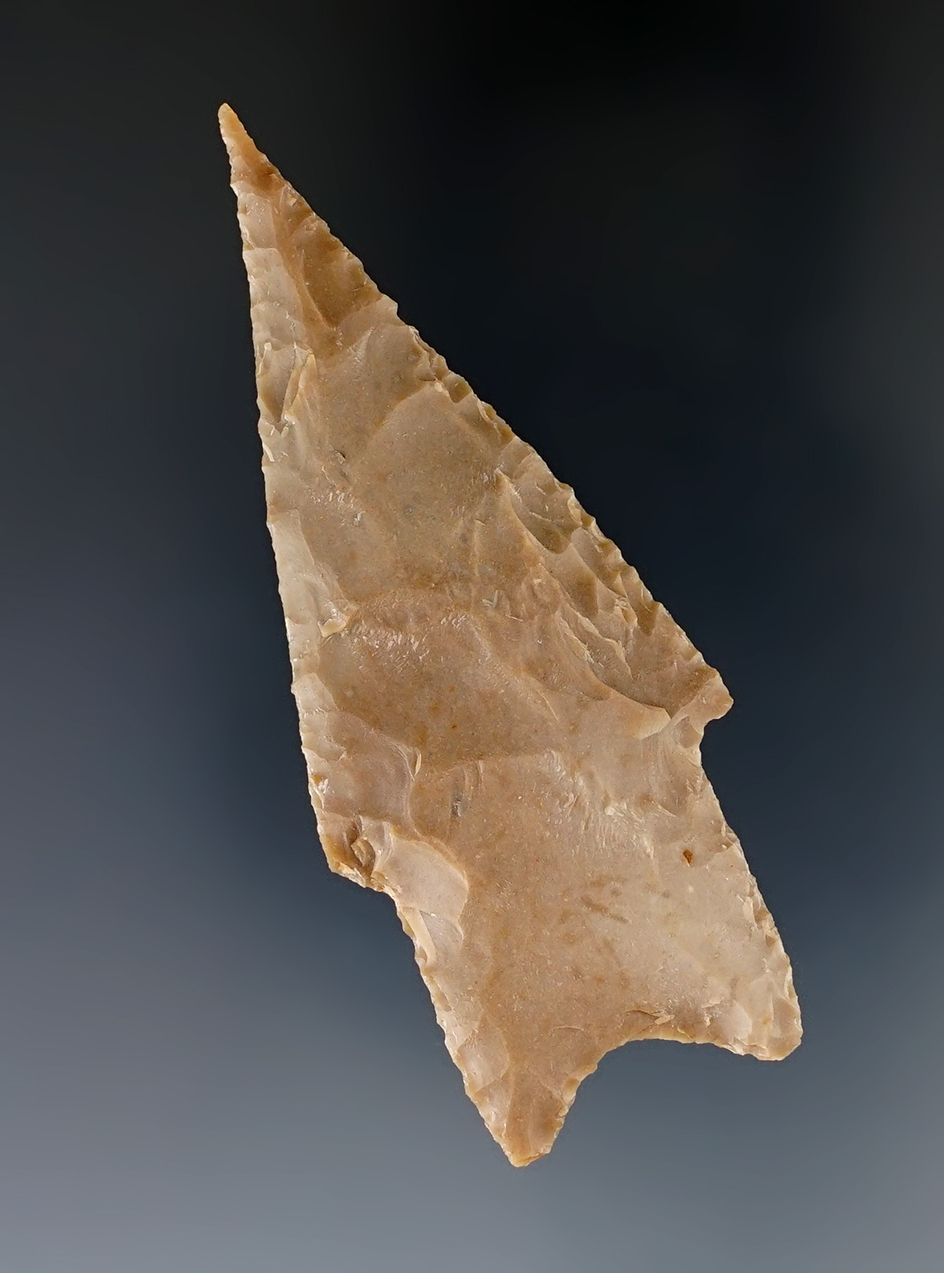 2 11/16" needle tip Pedernales point found in Kerr County Texas. Comes with a Rogers COA.