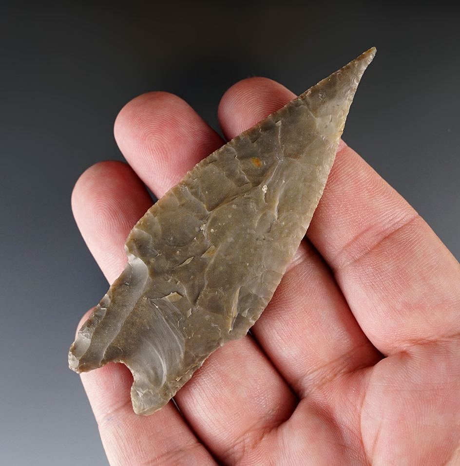 Excellent style, flaking and material - needle tip Pedernales point - Kerr County Texas. Roger COA.