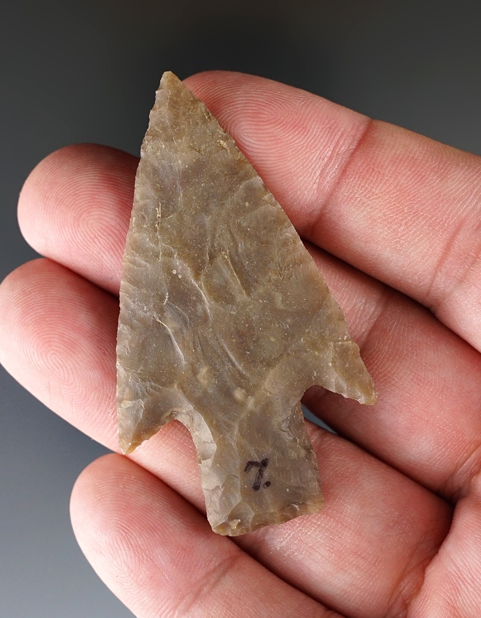 2 7/16" Bulverde point that is very nicely flaked found in Texas.