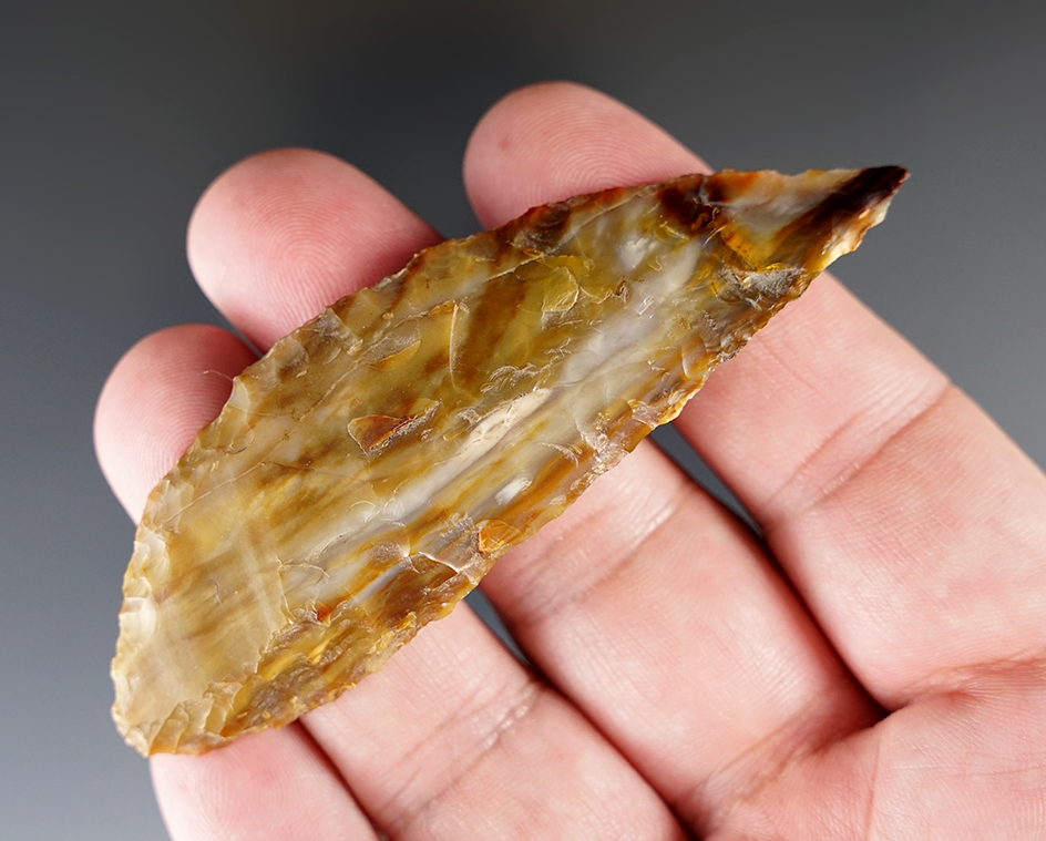 3 3/8" beautiful crescent-shaped knife made from attractive petrified wood found near Umatilla OR.