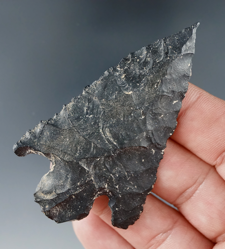 Exceptionally thin and well flaked 2 3/4" needle-tip stemmed point found in Kentucky.