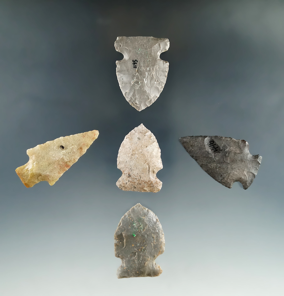 Set of five assorted arrowheads found in southern Indiana by Bob Edler. Largest is 1 7/8".
