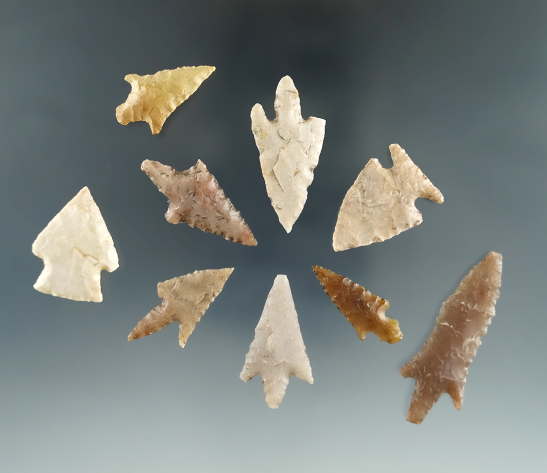 Set of nine assorted Texas bird points, largest is 1 9/16".