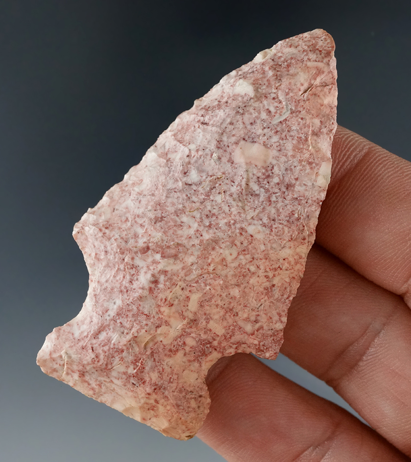 2 7/16" Archaic Sidenotch Bevel found in Missouri. Ex. Fred Eiserman collection.