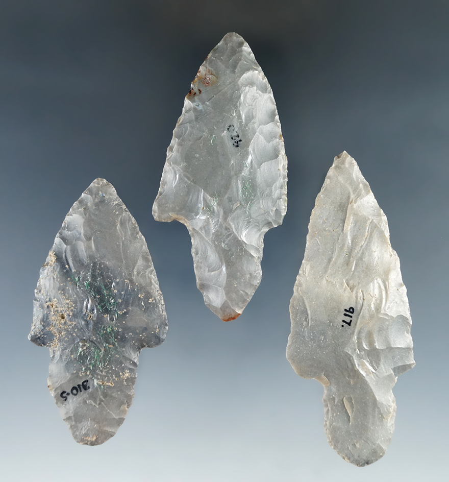 Set of three Hornstone Adena points found by Bob Edler in southern Indiana. Largest is 3 1/8".