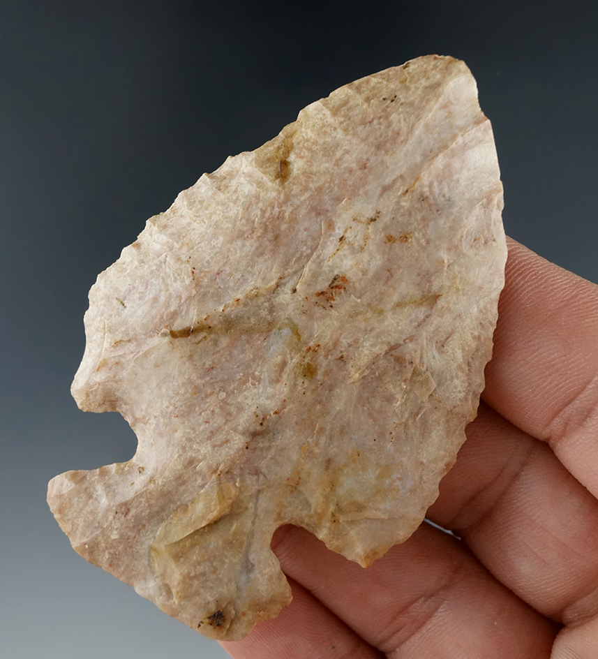 2 3/4" Thebes made from attractive material found in Monroe Co., Indiana. Ex. Richardson collection.