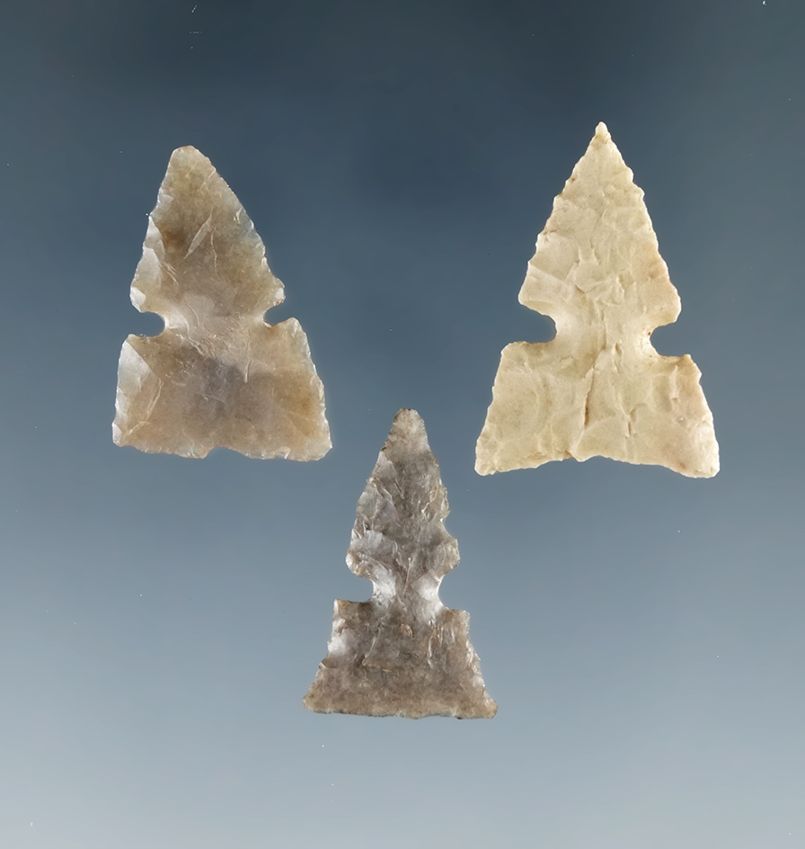 Three well made sidenotch Birdpoints found in Texas. Largest is 3/4".
