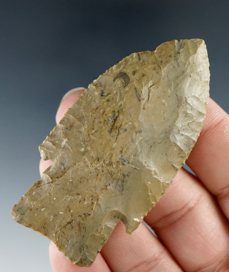 2 5/8" Scottsbluff found in Macon Co., Missouri. Ex. Bernell Walbrandt collection.  Bennett COA.