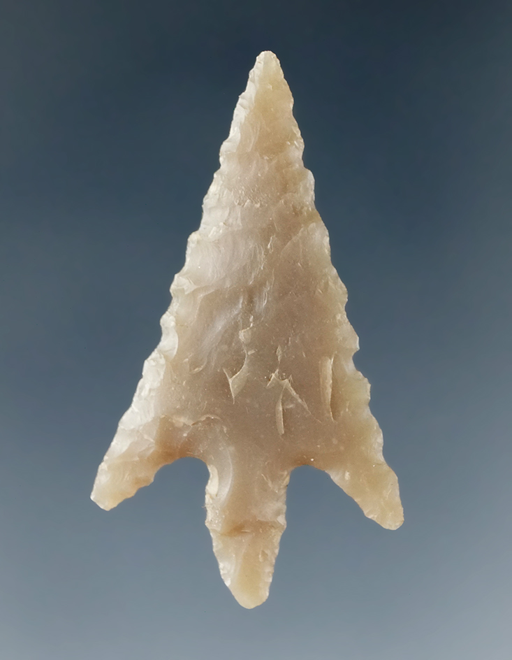 1 5/16" Perdiz point found in Texas.