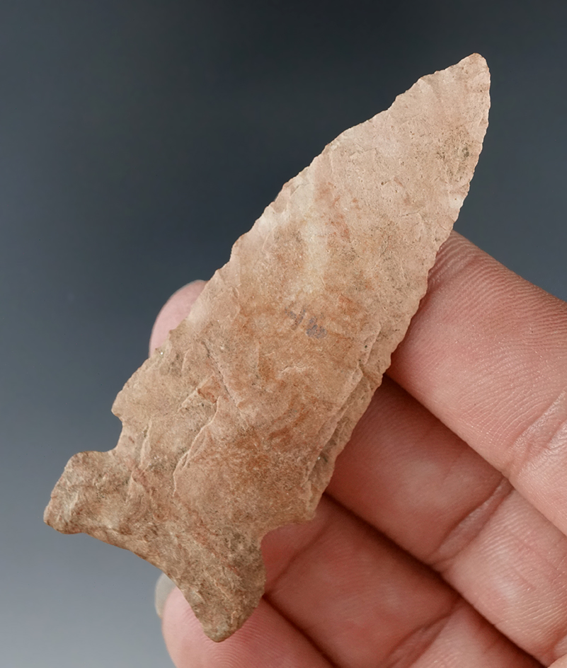 2 11/16" Sidenotch found in Livingston Co., Kentucky.