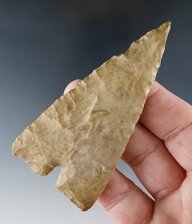 rare style – Large and nice! 3 3/16" Carrizo point found in Zapata Co., Texas.